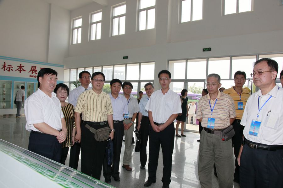 点此在新窗口浏览图片