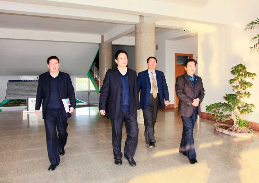点此在新窗口浏览图片