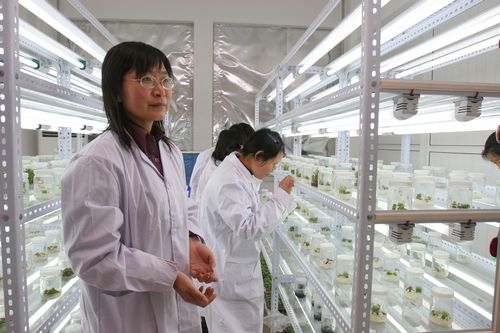 点此在新窗口浏览图片